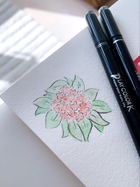 This image shows a hydrangea drawn with pen and watercolour. The creative idea is to practice mindful drawing.